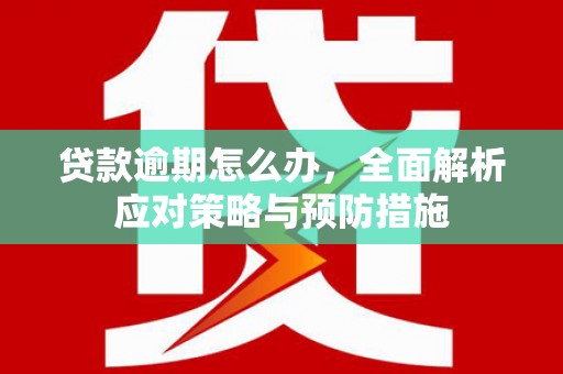 柳州贷款逾期怎么办，全面解析应对策略与预防措施
