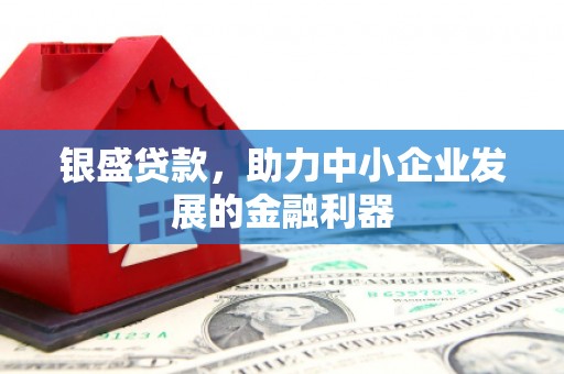 柳州银盛贷款，助力中小企业发展的金融利器