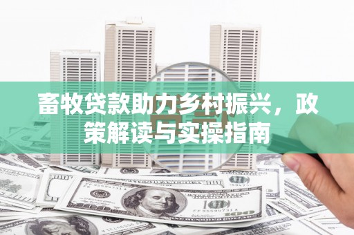 柳州畜牧贷款助力乡村振兴，政策解读与实操指南