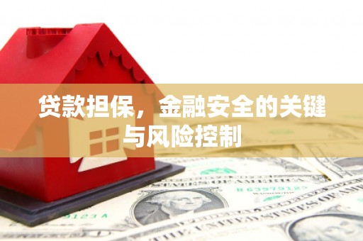 柳州贷款担保，金融安全的关键与风险控制