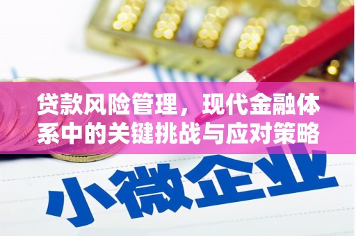 柳州贷款风险管理，现代金融体系中的关键挑战与应对策略