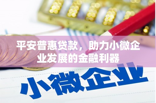 柳州平安普惠贷款，助力小微企业发展的金融利器