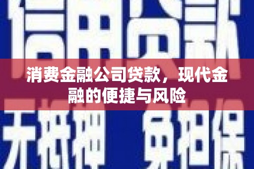 柳州消费金融公司贷款，现代金融的便捷与风险