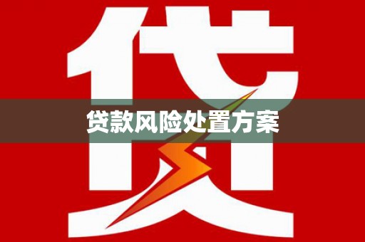 柳州贷款风险处置方案