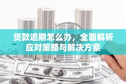 柳州贷款逾期怎么办，全面解析应对策略与解决方案