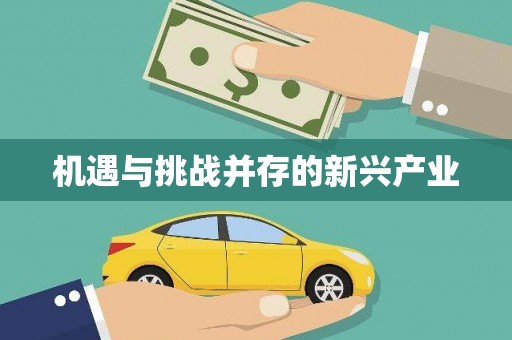 柳州机遇与挑战并存的新兴产业