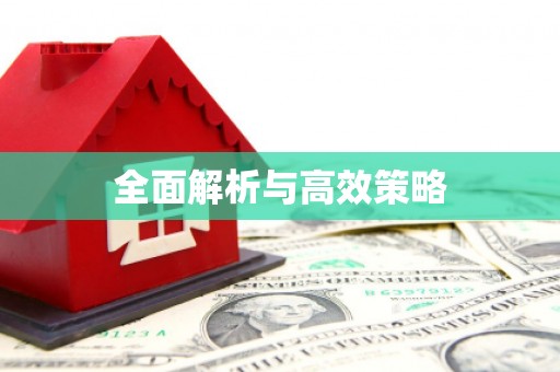 柳州全面解析与高效策略