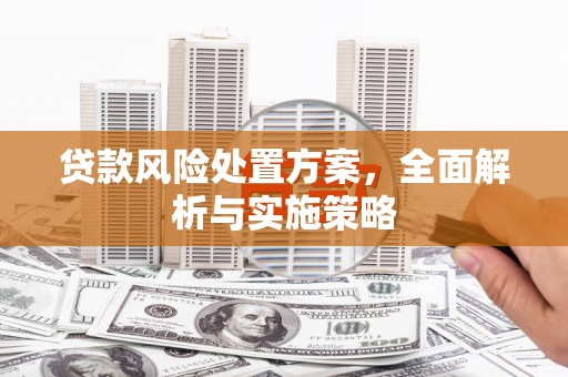 柳州贷款风险处置方案，全面解析与实施策略